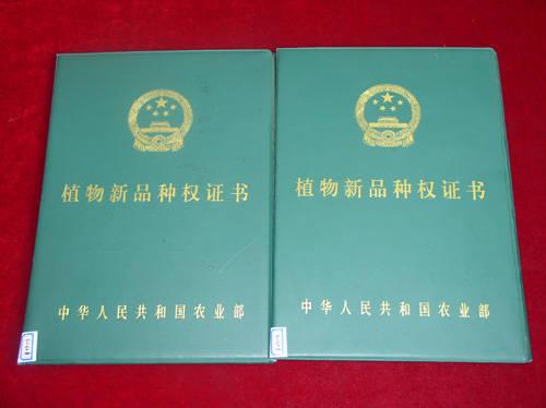 植物新品種保護條例