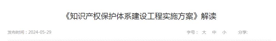 《知識產(chǎn)權(quán)保護體系建設(shè)工程實施方案》解讀